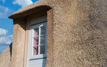 Stranog thatch roof disadvantages